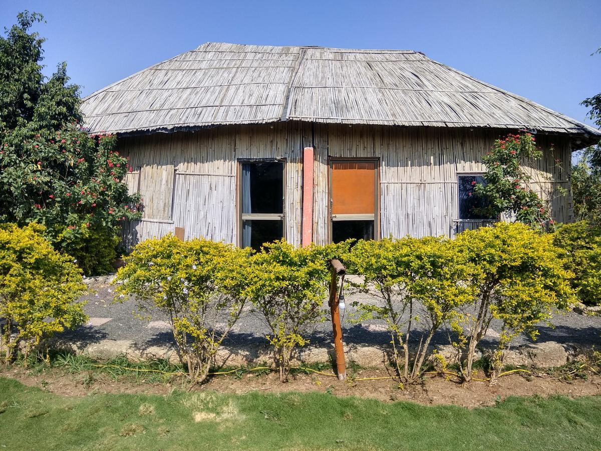 The Hillview Camp Resort Sasan Gir Extérieur photo